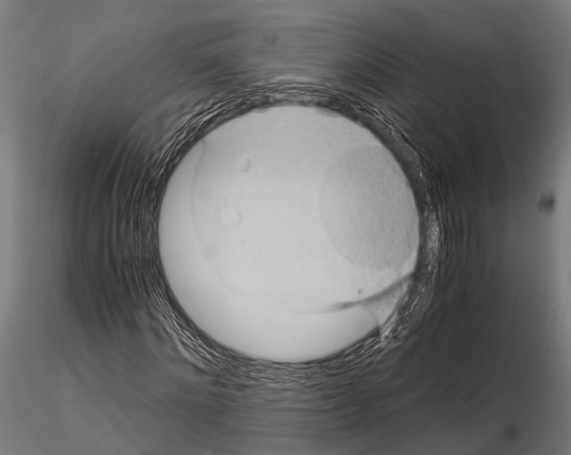 X0000115190868200912091108