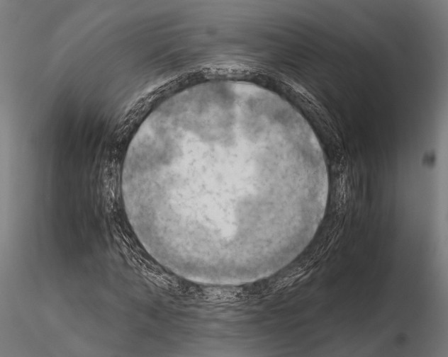 X0000115190870200912091108