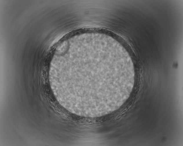 X0000115190871200912091108