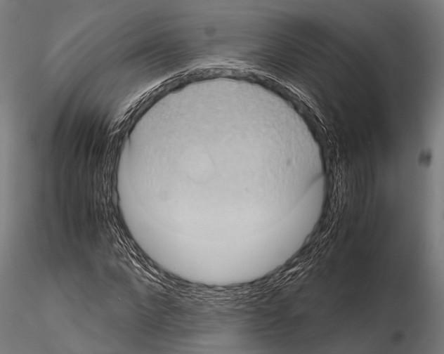 X0000115190872200912091108