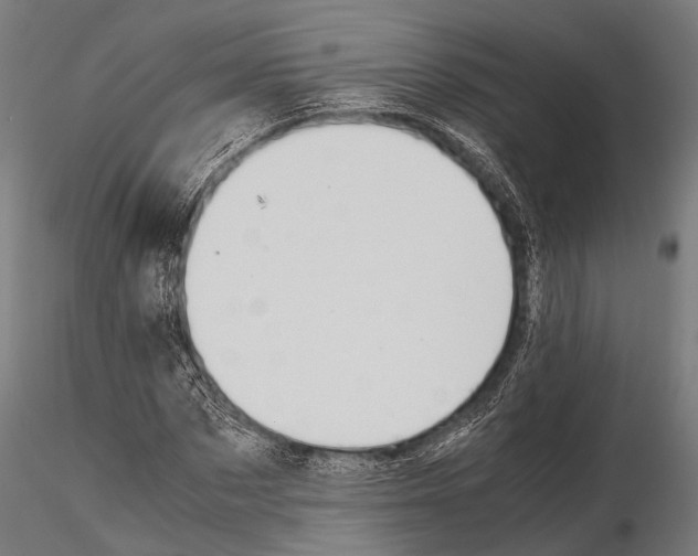 X0000115190873200912091108