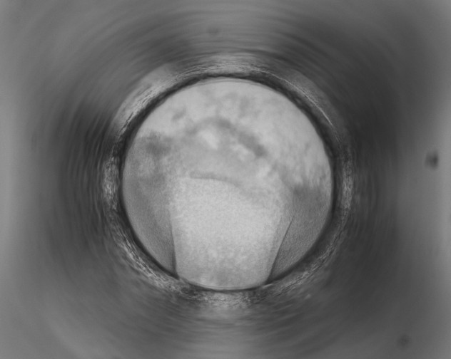 X0000115190874200912091108