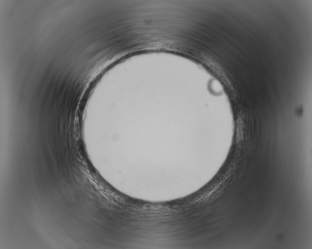 X0000115190876200912091108