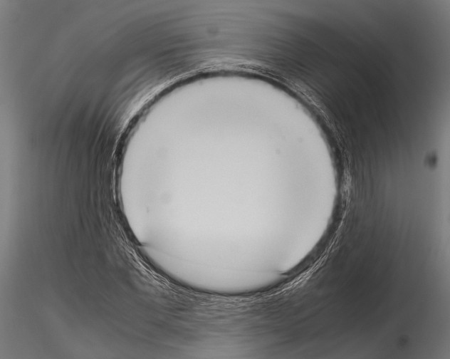 X0000115190877200912091108