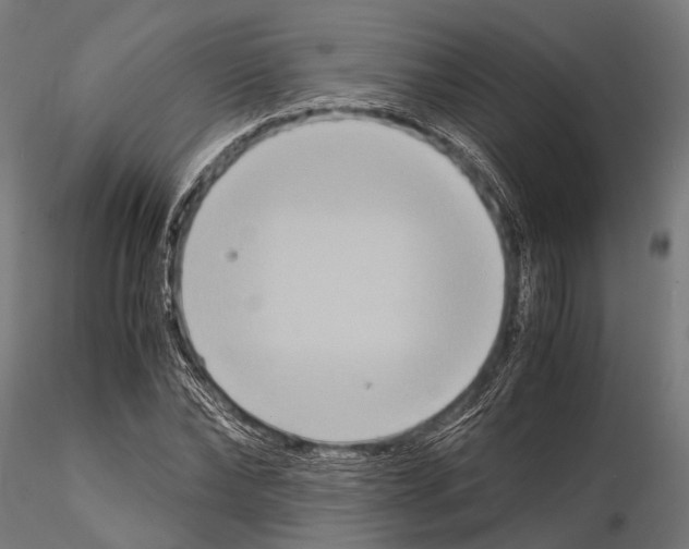 X0000115190878200912091108