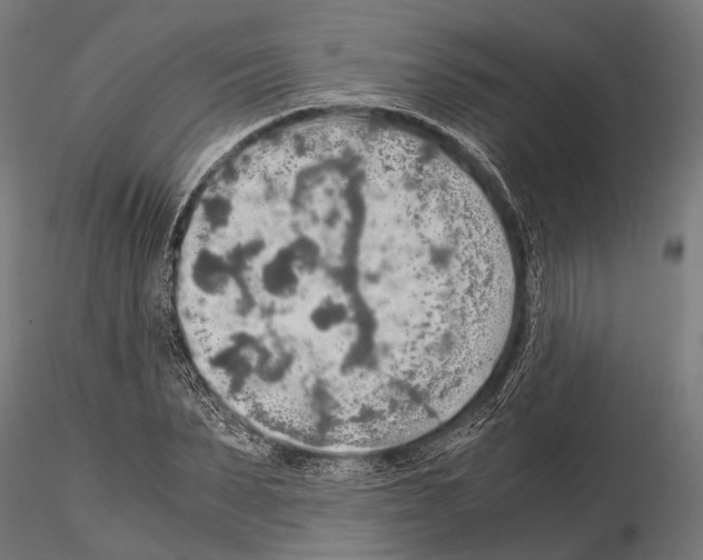 X0000115190879200912091108