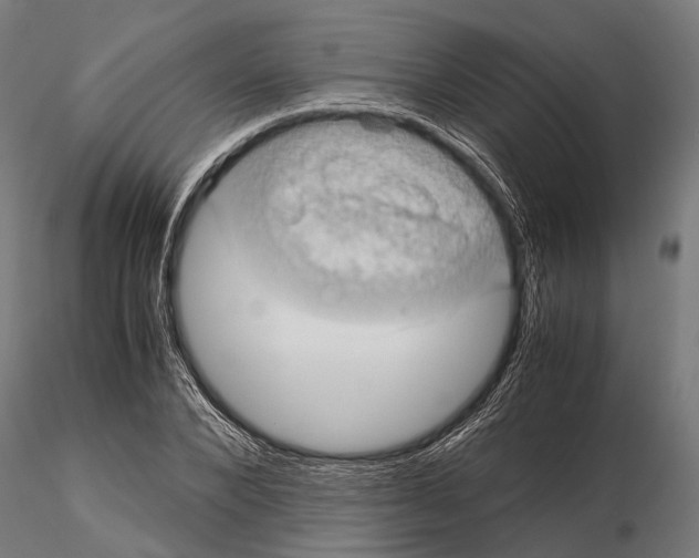 X0000115190880200912091108