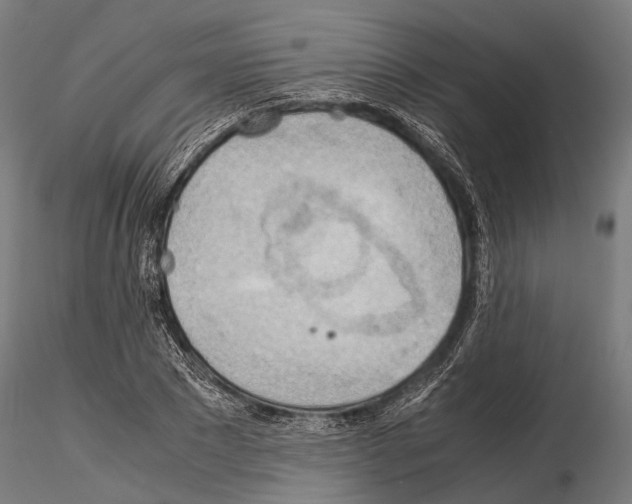 X0000115190881200912091108