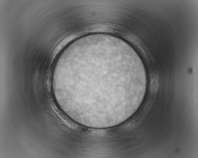 X0000115190882200912091108