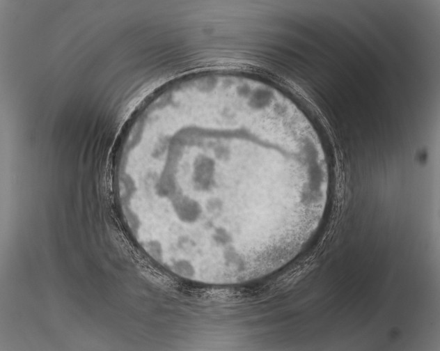 X0000115190883200912091108