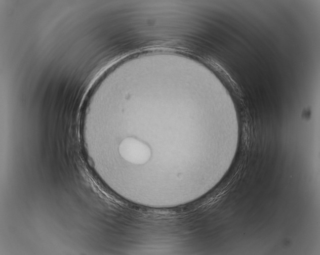 X0000115190884200912091108