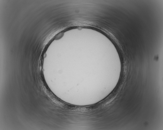 X0000115190885200912091108