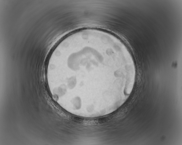 X0000115190887200912091108