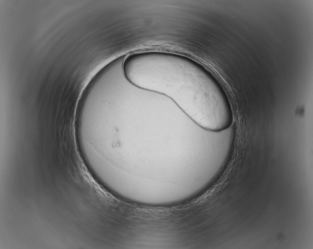 X0000115190888200912091108