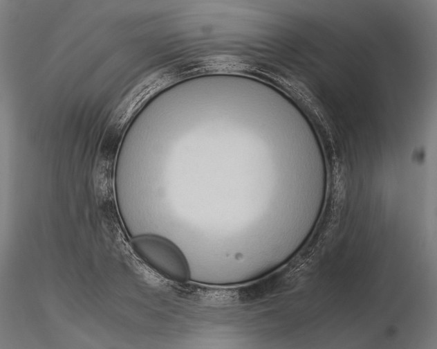 X0000115190889200912091108