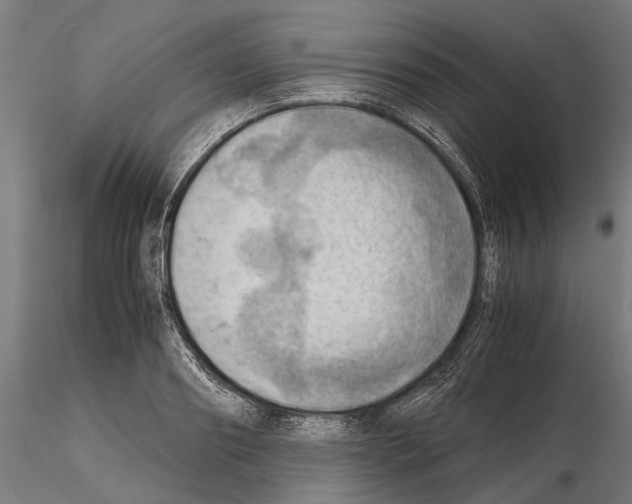 X0000115190890200912091108