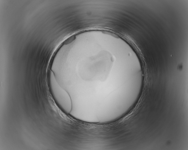 X0000115190892200912091108