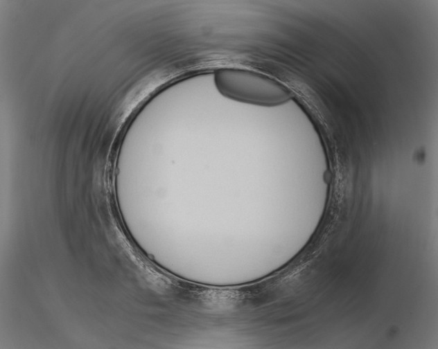 X0000115190893200912091108