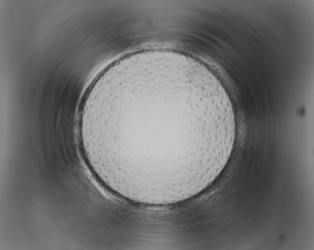 X0000115190894200912091108