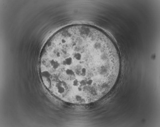 X0000115190895200912091108