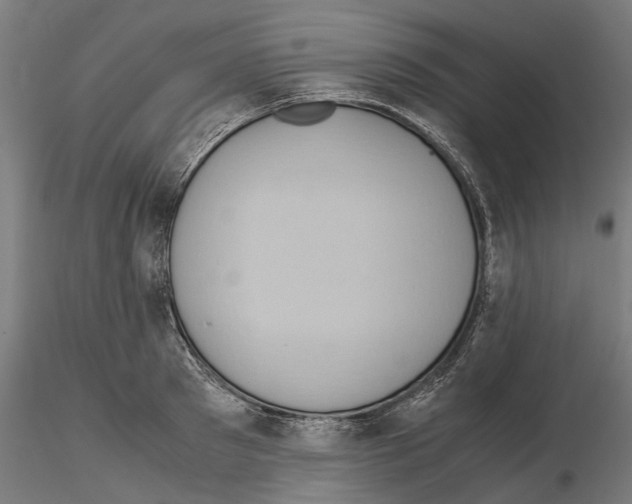 X0000115190897200912091108