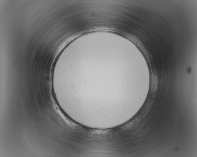 X0000115190898200912091108