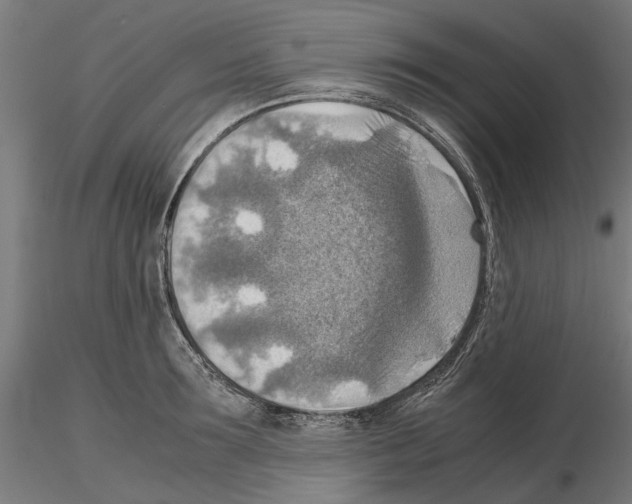 X0000115190899200912091108