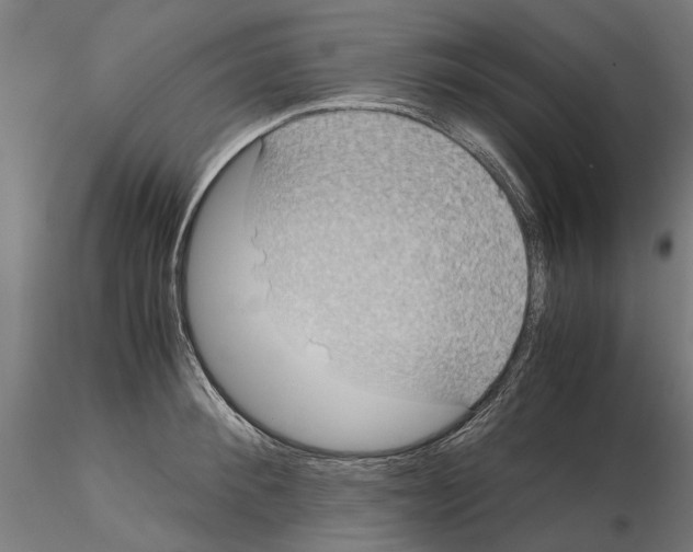 X0000115190900200912091108