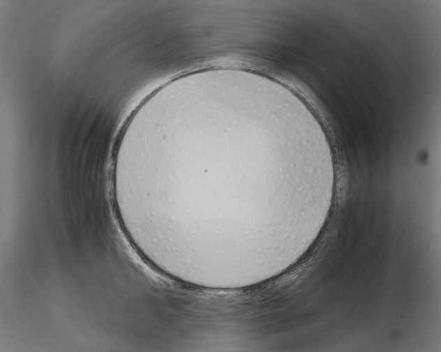 X0000115190902200912091108