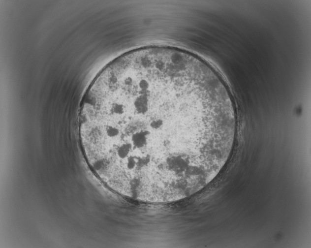 X0000115190903200912091108