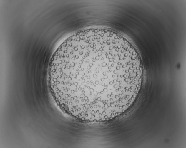 X0000115190906200912091108