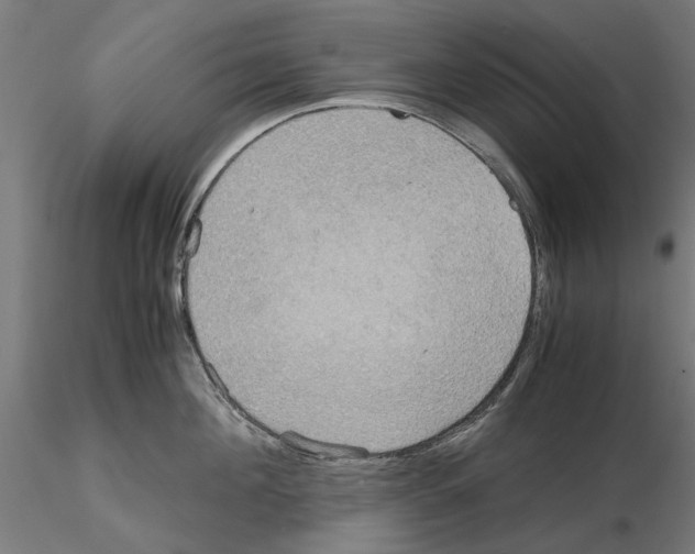 X0000115190908200912091107