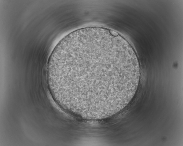 X0000115190911200912091107