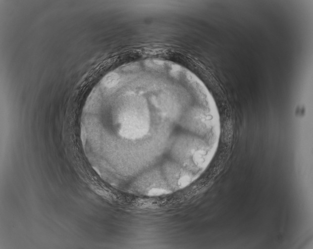 X0000115190913200912091107