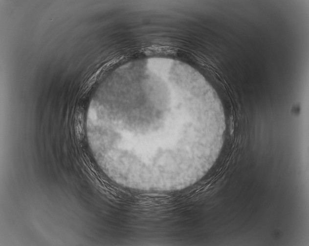 X0000115190915200912091107