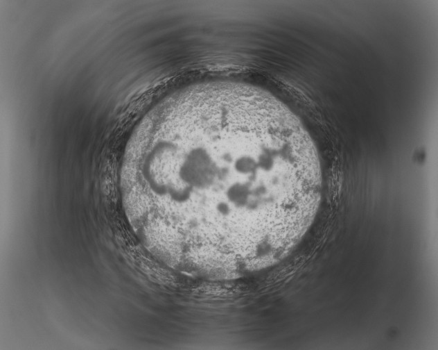 X0000115190917200912091107