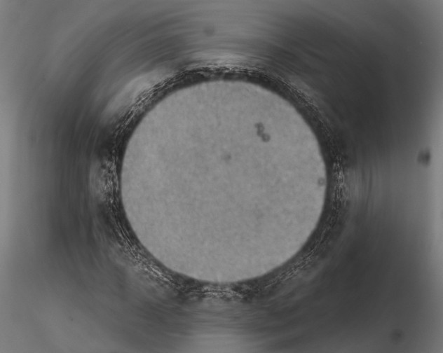 X0000115190918200912091107