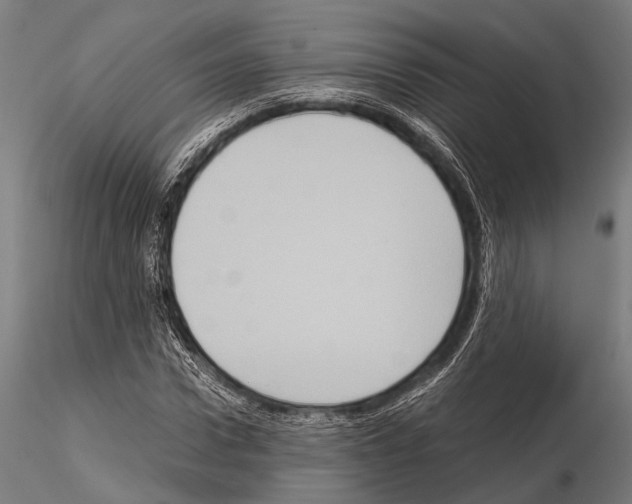 X0000115190922200912091107