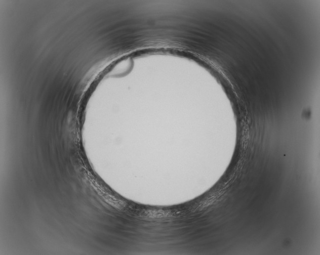 X0000115190927200912091107