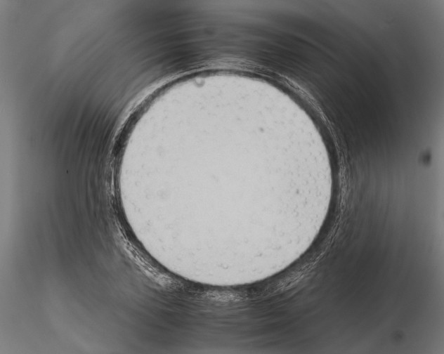 X0000115190931200912091107