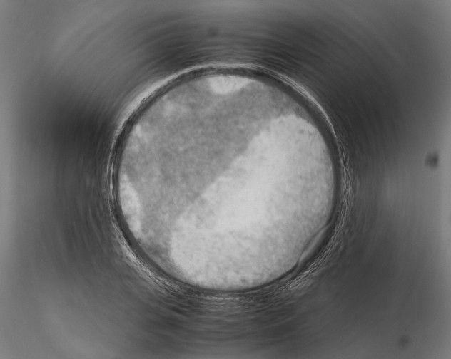 X0000115190935200912091107