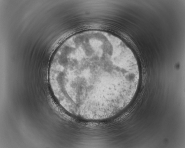 X0000115190938200912091107