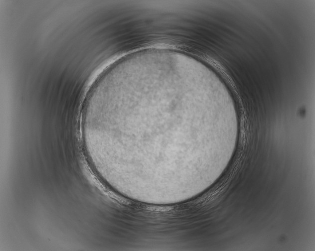 X0000115190939200912091107