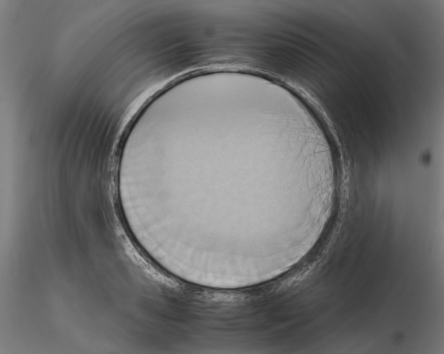 X0000115190941200912091107