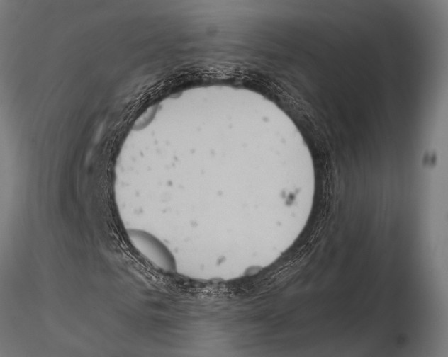 X0000115190961200912091107