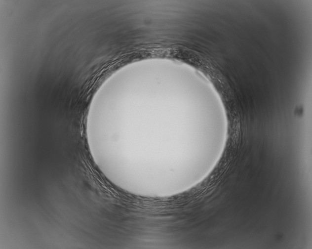 X0000115190962200912091107