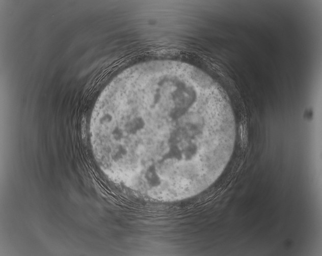 X0000115190963200912091107