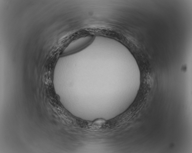 X0000115190965200912091107