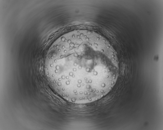 X0000115190966200912091107