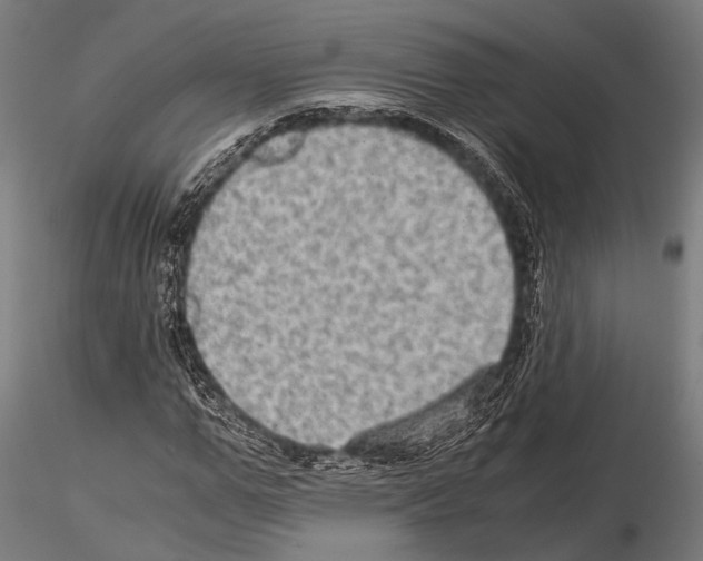 X0000115190967200912091107